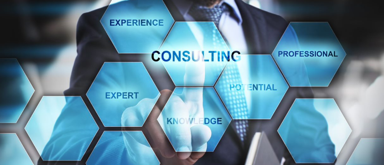 PMO Consulting Services