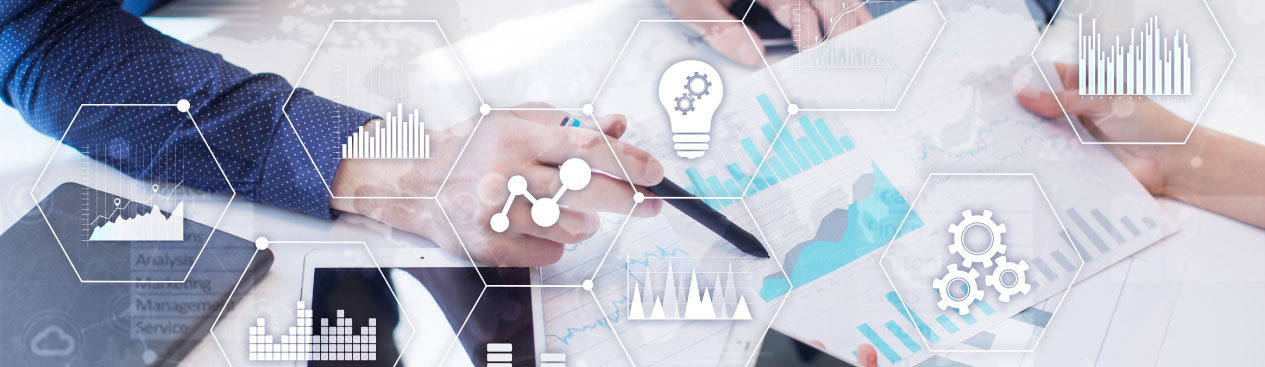 ServiceNow Advisory Services