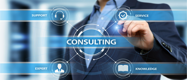 Consulting Services