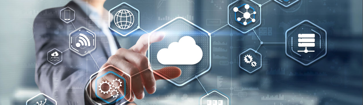 ServiceNow Implementation Services
