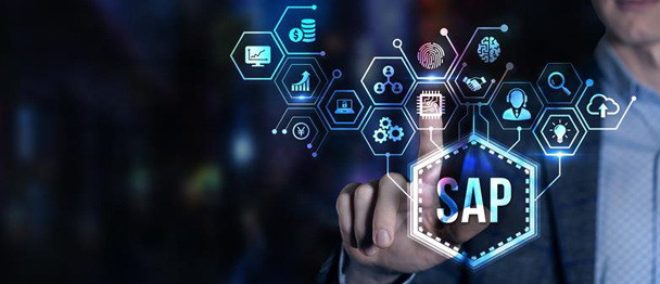 SAP Application Management Services (AMS)